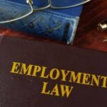 Employment Lawyers